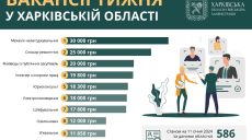 Робота у Харкові та області: опубліковано перелік найкращих вакансій