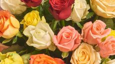 До Міжнародного жіночого дня: ціни на квіти у Харкові – мерія