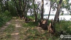 Вирубав дерева на березі озера: мешканець Харківщини за це відповість