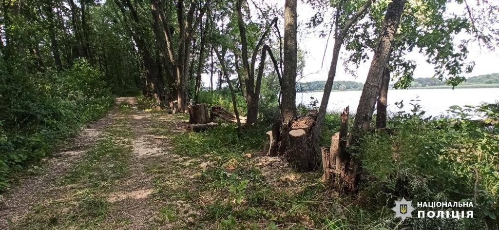Вырубил деревья на берегу озера: 68-летний житель Харьковщины за это ответит