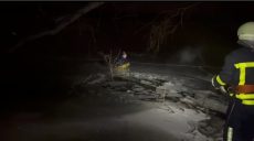 Дитина на тюбінгу вилетіла на тонкий лід під Харковом: як рятували (відео)
