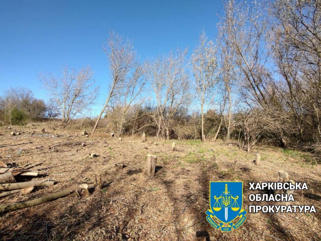 На почти 250 тыс. гривен мужчина нарубил кленов в Харьковской области