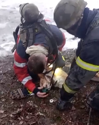 Собаку Ладу откачали спасатели на Харьковщине: животное вынесли из пожара