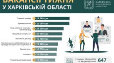 Работа в Харькове и области: вакансии от 14 до 25 тыс. гривен