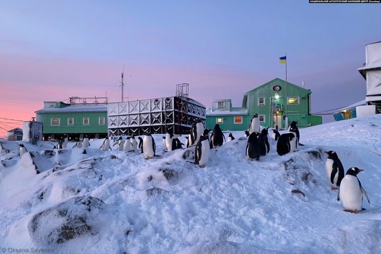 Академик Вернадский украинская антарктическая станция