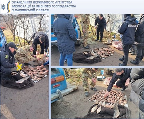 Наловили более 20 кг рыбы: на Харьковщине попались браконьеры