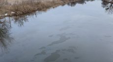 Витік палива у річки Харківщини: екоінспектори відібрали проби і показали фото