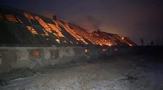 На Харківщині внаслідок обстрілу горить ферма, де було 70 свиней (фото)