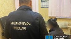 Школьное укрытие в Харькове отремонтировали с убытками: подозревают инженера