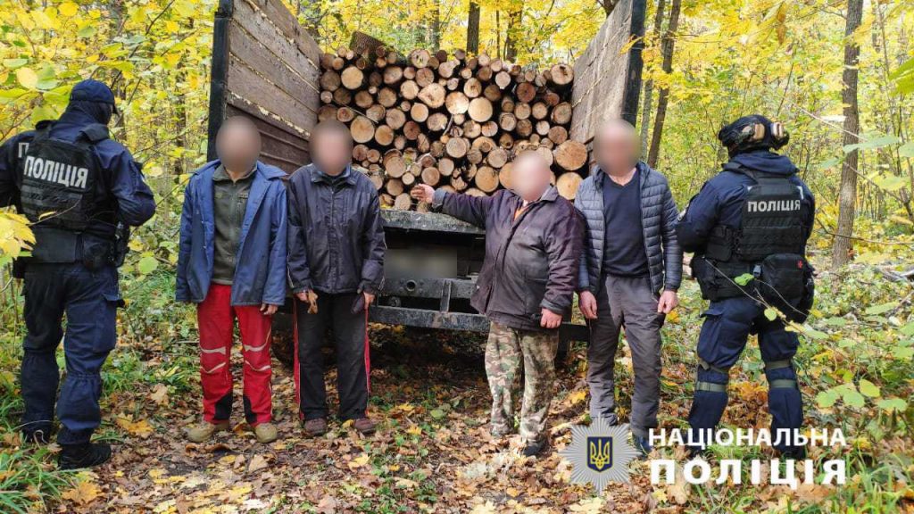 На Харківщині піймали «чорних лісорубів»: нарубали дерев на мільйон грн