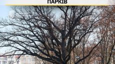 За те, що харків’ян проганяють із газонів парків, мерія заплатить 10 млн грн