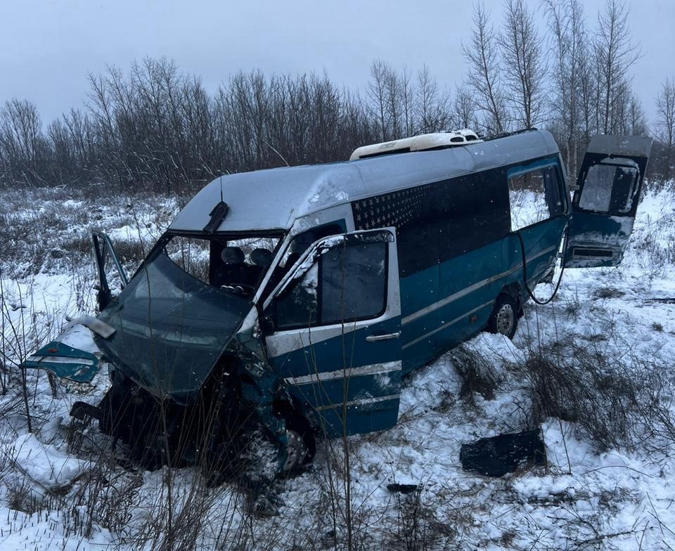 Микроавтобус столкнулся с фурой на Харьковщине: 12 человек в больнице (фото)