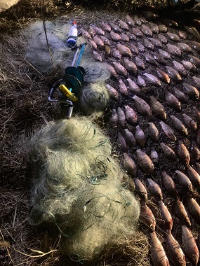 Наловив майже 50 кг риби: у Харкові піймали браконьєра