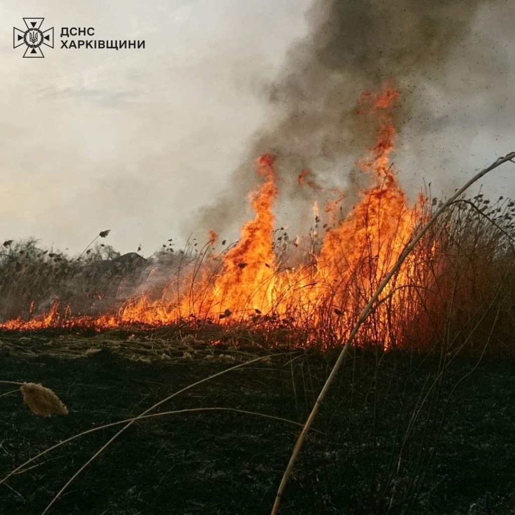 Природа Харьковщины в огне: ГСЧСники обратились к поджигателям сухостоя