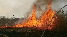 Природа Харьковщины в огне: ГСЧСники обратились к поджигателям сухостоя