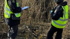 У селі на Харківщині собаки знайшли кістки людини: подробиці від поліції