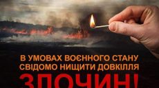 Поджоги сухостоя и мусора: за неделю на Харьковщине — почти 200 пожаров