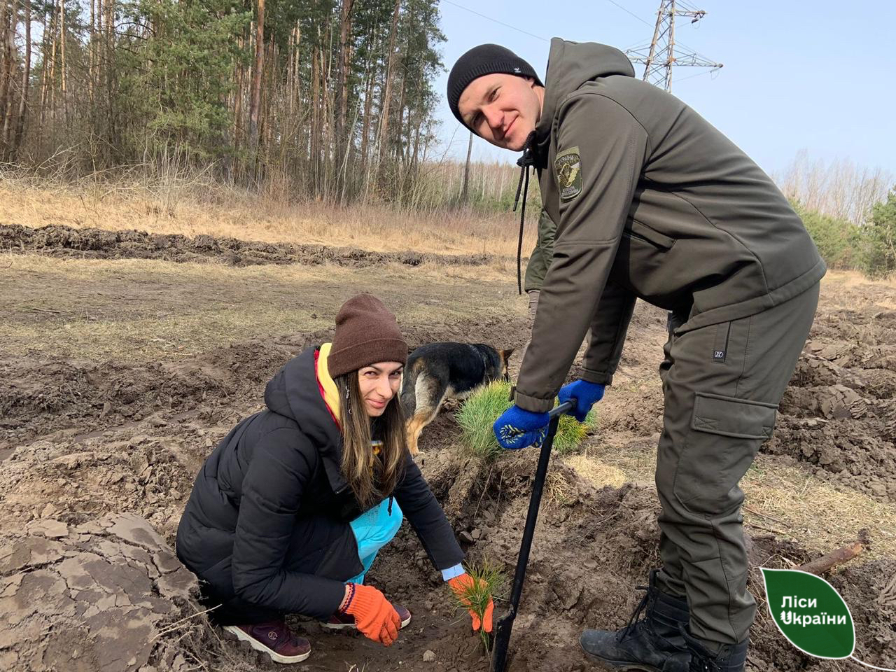 дерева висаджують на Харківщині 4