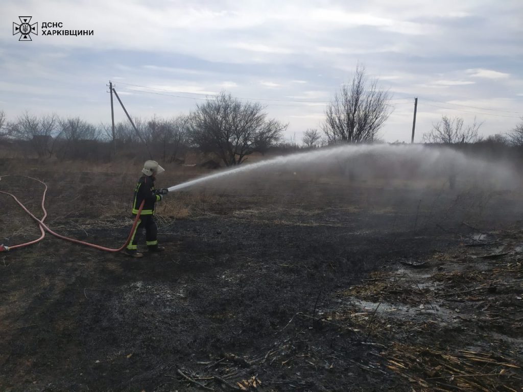 На Куп’янщині горіла трава: вогонь ледь не перекинувся на будинки людей (фото)
