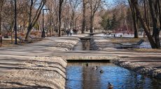 Главные новости Харькова 13.03: удар по Волчанску, рейд добровольцев в РФ