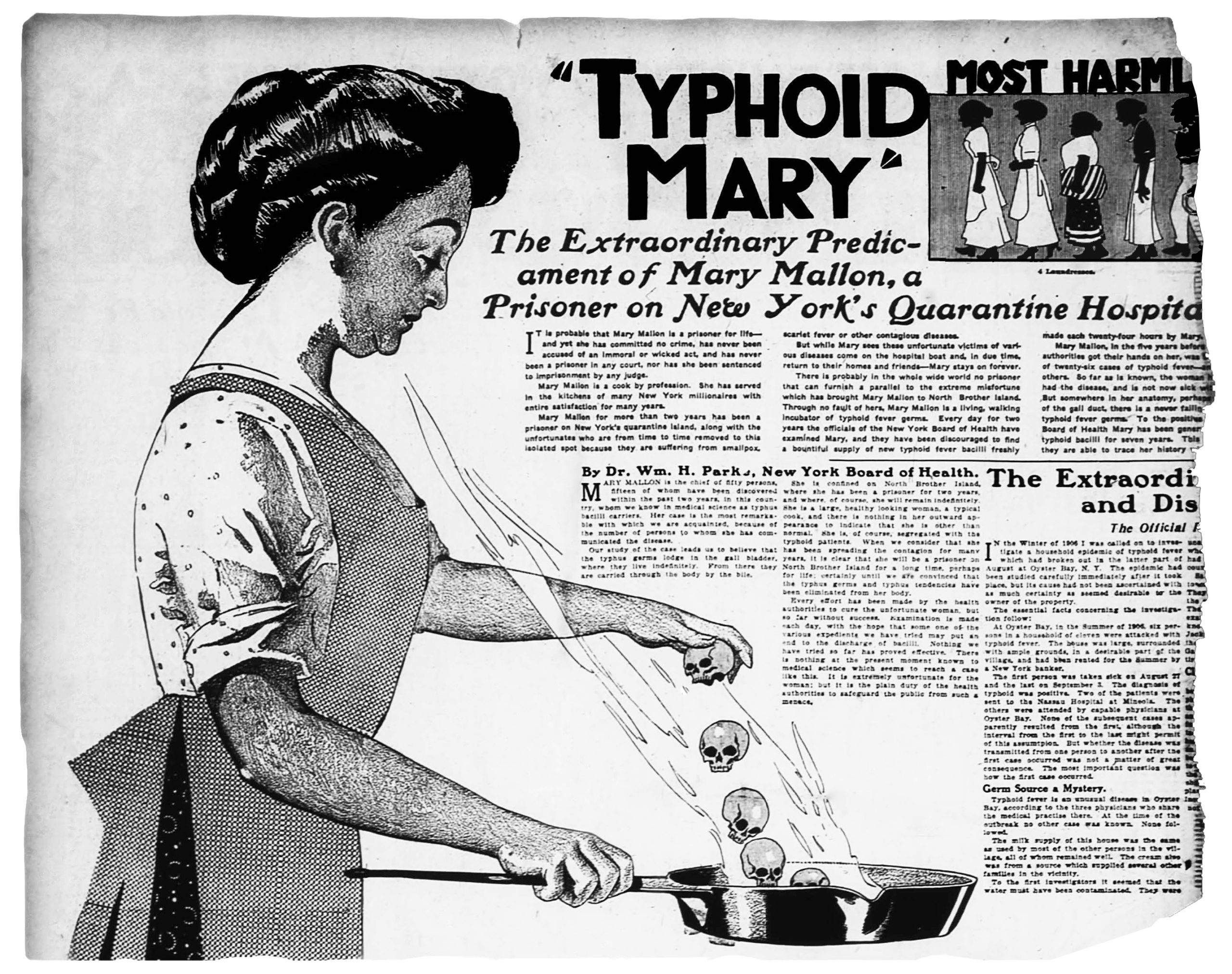 Тифозна Мері - газетна стаття