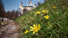Тепло, як влітку. Якою буде погода у перший день квітня в Харкові та області