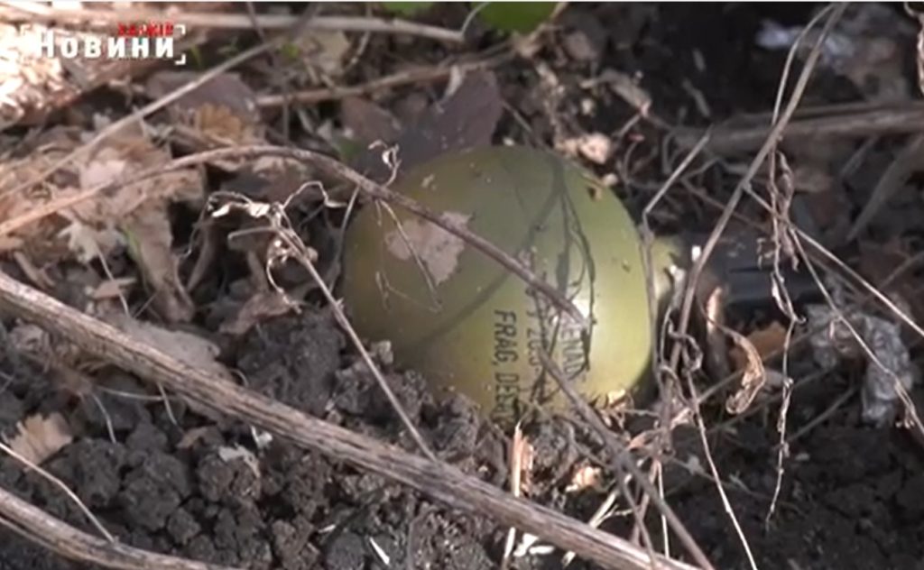 В Харькове обнаружили ручную гранату в сосновом бору