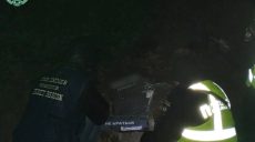 Часть из семи беспилотников, атаковавших Мартовое, сбили — Синегубов