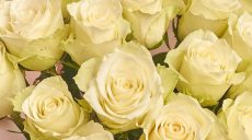Чарівний світ троянд: ідеальні букети та їх поєднання