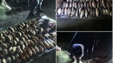 Трьох браконьєрів, які наловили майже 90 кг риби, піймали на Куп’янщині