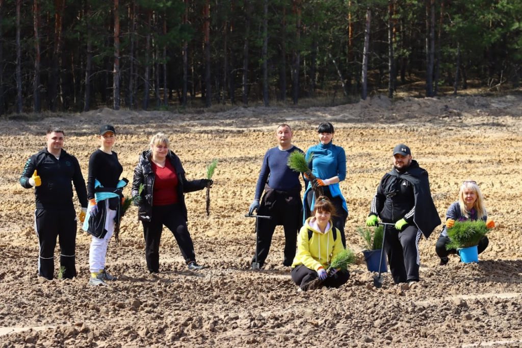 Новий ліс: 29 тисяч маленьких сосен висадили на Харківщині (фото)