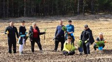 Новий ліс: 29 тисяч маленьких сосен висадили на Харківщині (фото)