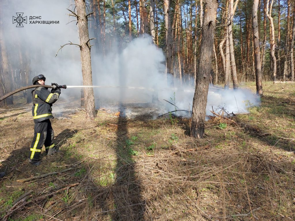 Лес горел на Харьковщине из-за артудара РФ (фото)