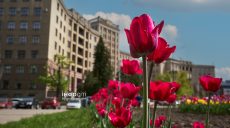Ночью на почве заморозки. Какой будет погода 4 мая в Харькове и области