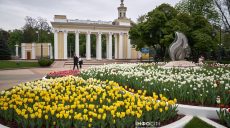 Главные новости Харькова 30.04: «прилеты», погибший и раненые, сессия, график