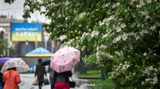 Утром и днем может быть дождь: прогноз погоды в Харькове и области на 17 мая