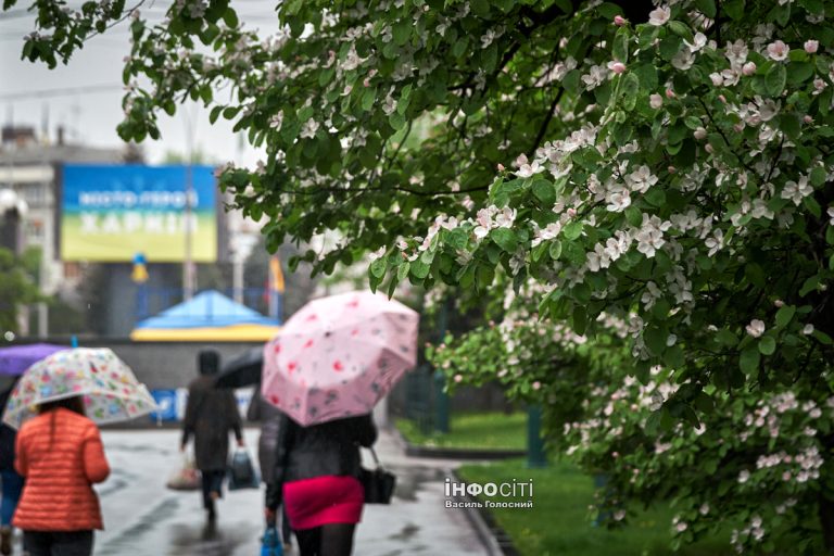 Удень може піти дощ: прогноз погоди в Харкові та області на 19 травня