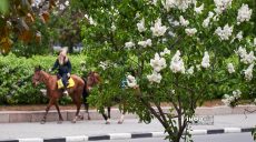 До 27 тепла, малохмарно: прогноз погоди в Харкові та області на 1 травня