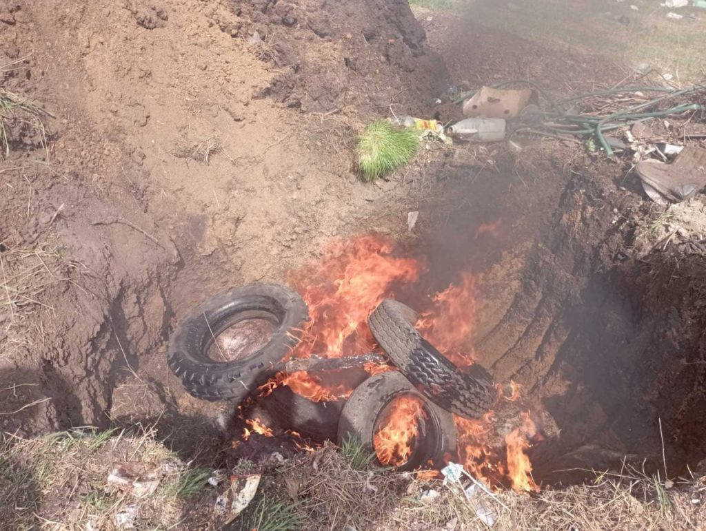 На свалке на Харьковщине обнаружили трупы свиней: что произошло