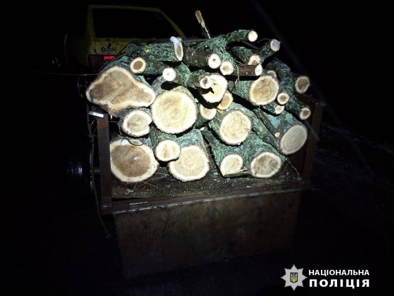 Зимой спилили деревья на Харьковщине: двоим мужчинам «светит» до 5 лет тюрьмы