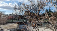 Похолодання, туман, дощ: прогноз погоди в Харкові та області на 6 квітня