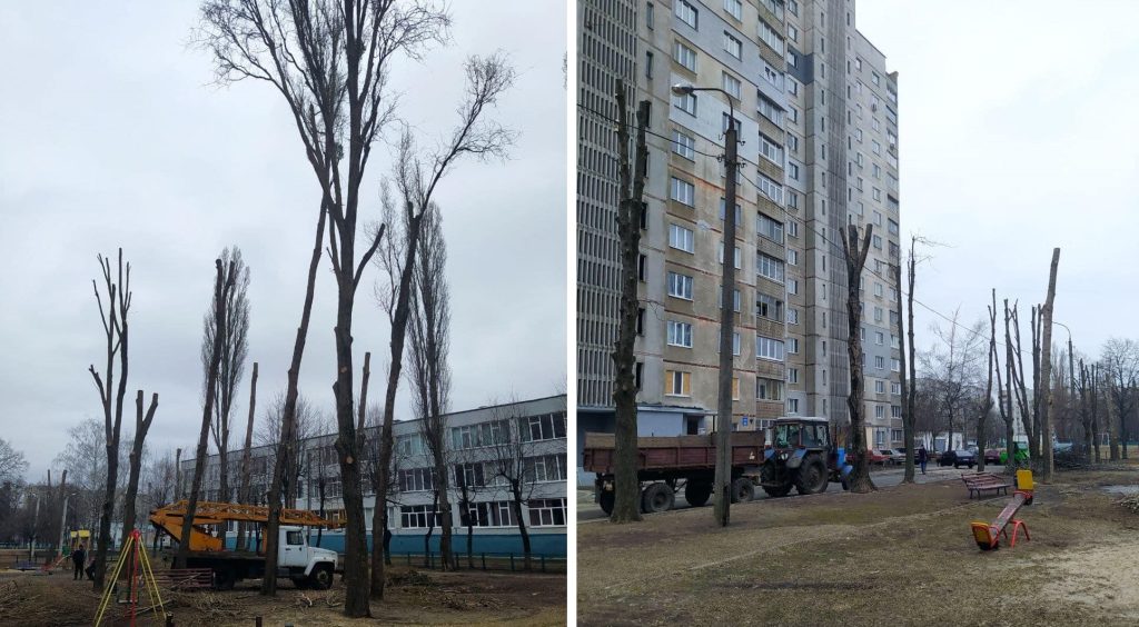 Обрізка дерев “під стовп” у Харкові: Держекоінспекція підтримала активістів