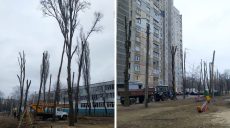 Обрезка деревьев «под столб» в Харькове: Госэкоинспекция поддержала активистов