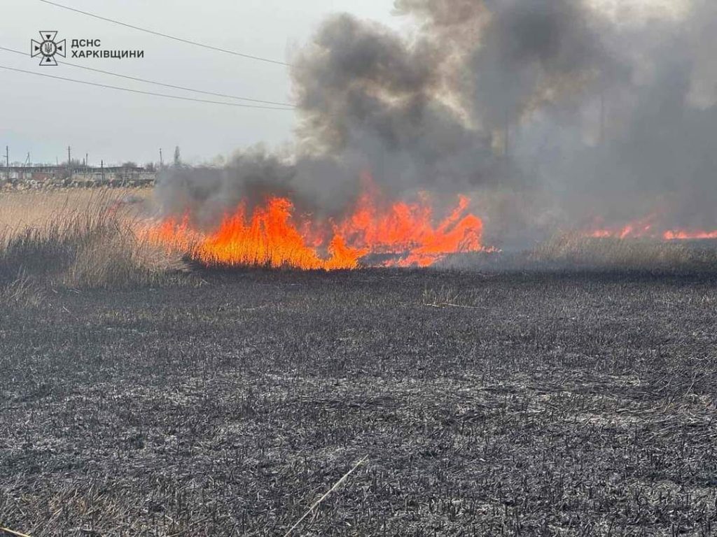 Поджигателей сухой травы штрафуют на Харьковщине: сколько платят нарушители