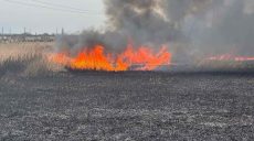 Поджигателей сухой травы штрафуют на Харьковщине: сколько платят нарушители