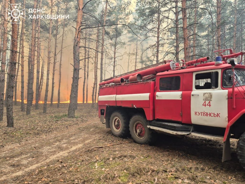 Масштабна лісова пожежа спалахнула на Харківщині через обстріли (фото)