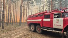 Масштабна лісова пожежа спалахнула на Харківщині через обстріли (фото)