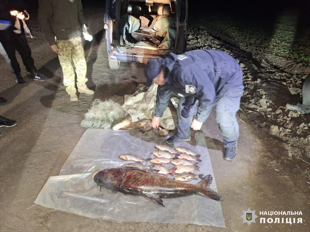 Более сотни рыб, среди которых крупные, погубил житель Харьковщины (фото)