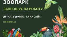 Работа в Харьковском зоопарке: предлагают ухаживать за животными