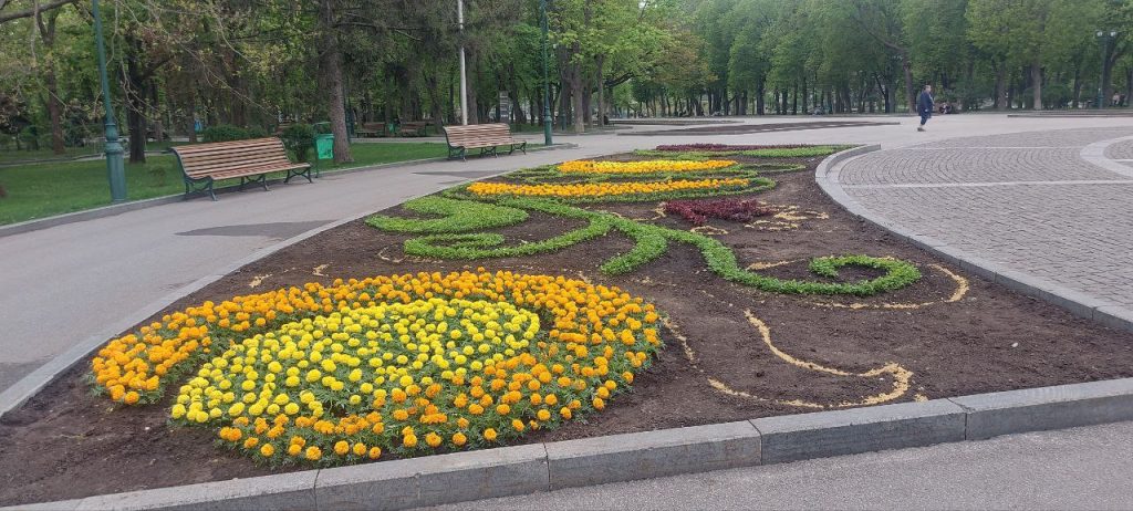 Які клумби будуть у центрі Харкова: комунальники показали перші фото